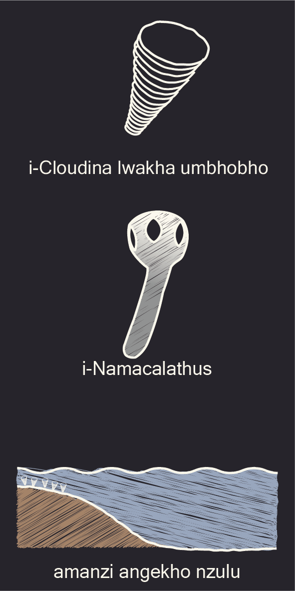 Amaqokobhe/oonokrwece bokuqala